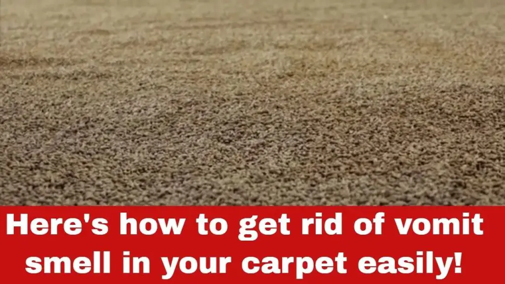 how-to-get-rid-of-vomit-smell-in-your-carpet-easy-guide