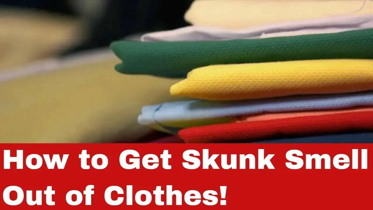 how-to-get-skunk-smell-out-of-clothes-a-step-by-step-guide