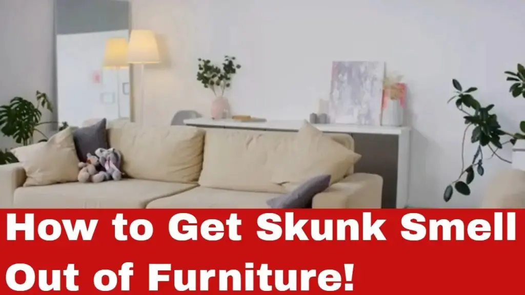 How To Get Skunk Smell Out Of Furniture Step By Step Guide   How To Get Skunk Smell Out Of Furniture 1024x576 